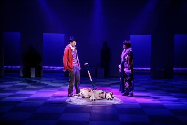 The Curious Incident Of The Dog In The Night-Time