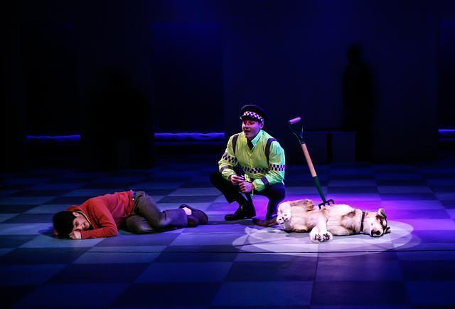 The Curious Incident of the Dog In The Night-Time