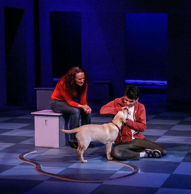 The Curious Incident of the Dog In The Night-Time