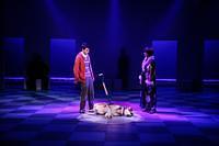 The Curious Incident Of The Dog In The Night-Time