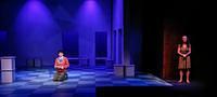 The Curious Incident of the Dog In The Night-Time