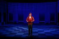 The Curious Incident Of The Dog In The Night-Time