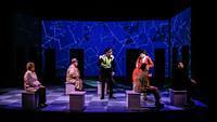 The Curious Incident of the Dog In The Night-Time