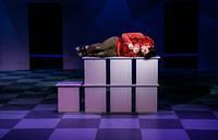 The Curious Incident of the Dog In The Night-Time